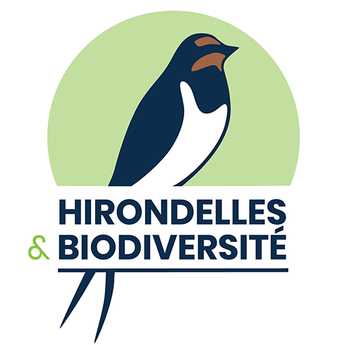 Hirondelles & Biodiversité